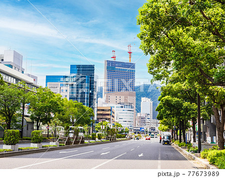 神戸 フラワーロード 神戸 フラワーロード 77673989