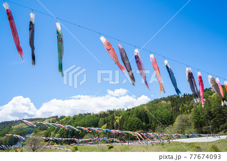 道の駅南きよさとの大空を泳ぐ鯉のぼり 77674093