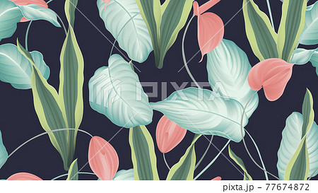Tropical seamless pattern, red Anthurium flowers, dumbcane, snake plant Tropical seamless pattern, red Anthurium flowers, dumbcane, snake plant 77674872
