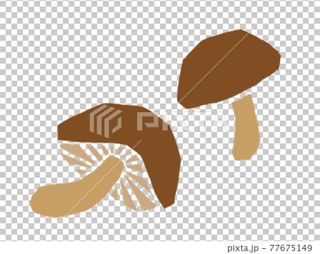 シイタケ　レトロなイラスト 77675149