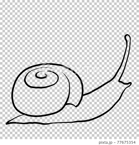 寫實蝸牛線描 77675354