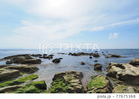三浦海岸　燈明堂　浦賀水道 77675368