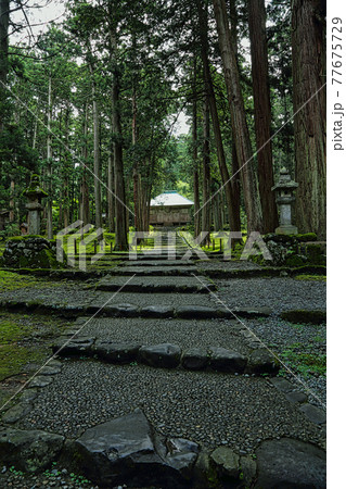 白山平泉寺ー苔寺 77675729