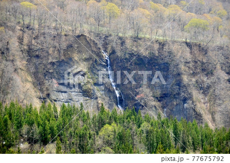 崖から流れ落ちる一筋の滝 崖から流れ落ちる一筋の滝 77675792