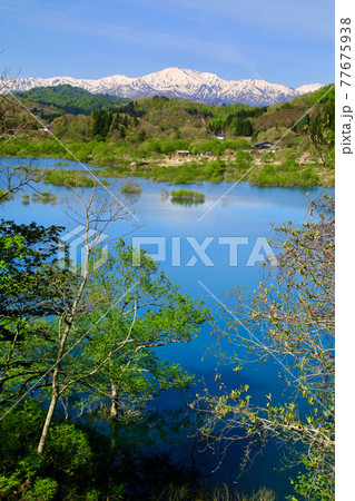 白川湖の水没林と飯豊山（山形県・飯豊町） 77675938