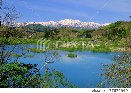 白川湖の水没林と飯豊山（山形県・飯豊町） 77675940