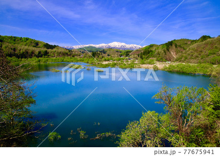 白川湖の水没林と飯豊山(山形県・飯豊町) 白川湖の水没林と飯豊山(山形県・飯豊町) 77675941