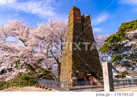 山口県萩市　満開の桜をバックの萩反射炉 77676510