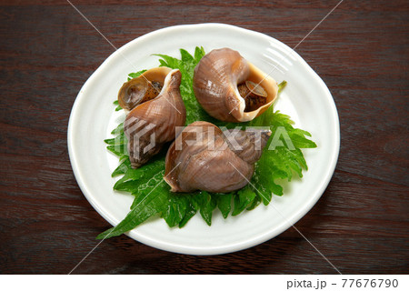 北海道産えぞばい貝の煮付け 77676790