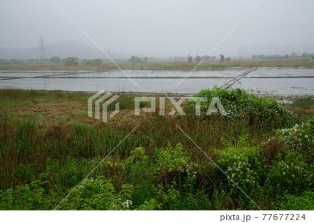 豪雨 河川 増収 77677224