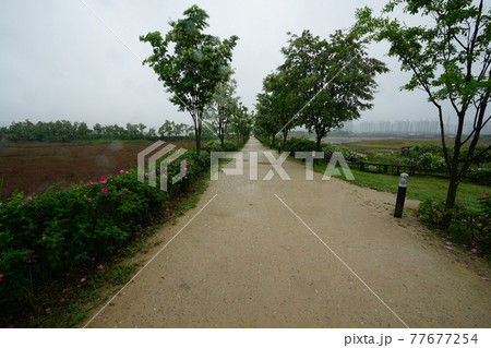 風景 川 河 77677254