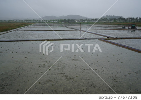 豪雨 河川 増収 77677308