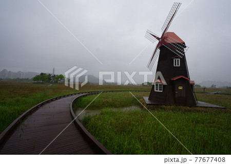 屋外 室外 自然 77677408