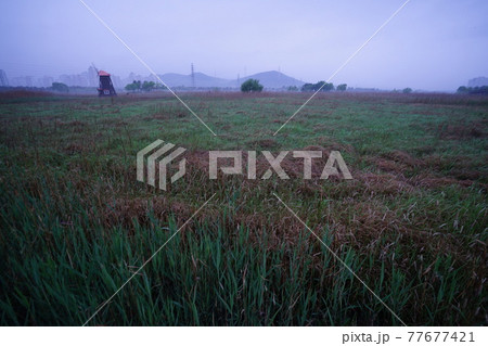 屋外 室外 自然 77677421