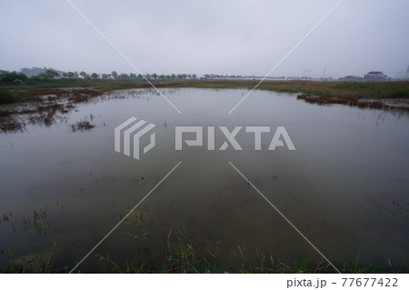 屋外 室外 自然 77677422