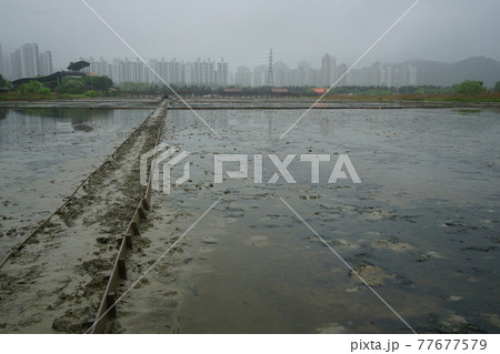 屋外 室外 景色 77677579