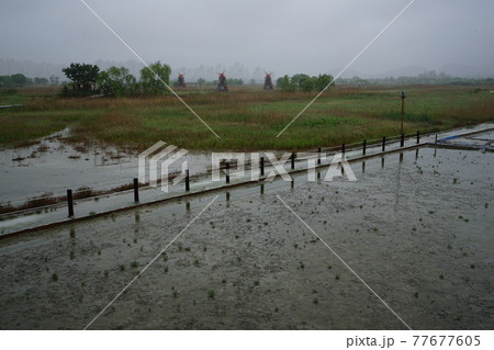 屋外 室外 景色 77677605