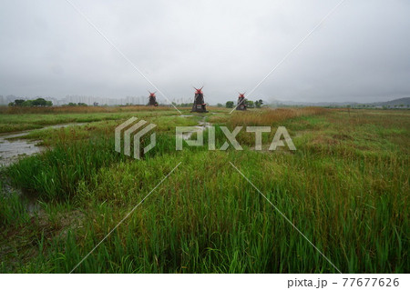 屋外 室外 景色 77677626
