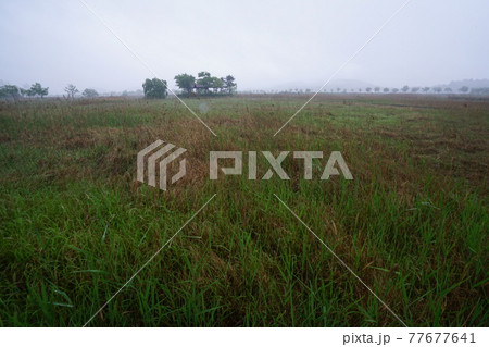 屋外 室外 景色 77677641