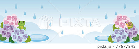 バナー アジサイ あじさい 紫陽花 梅雨 花 かえる イラスト コピースペース 背景のイラスト素材