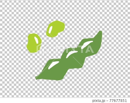 Edamame retro illustration 77677851