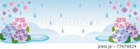 バナー アジサイ あじさい 紫陽花 梅雨 花 イラスト コピースペース 背景のイラスト素材
