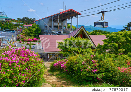 茨城県の春に咲くつつじと筑波山ロープウェイ 茨城県の春に咲くつつじと筑波山ロープウェイ 77679017