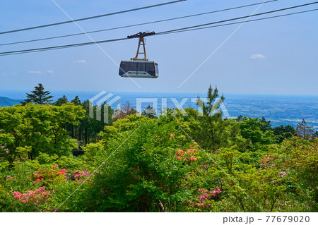 茨城県の春に咲くつつじと筑波山ロープウェイ 77679020