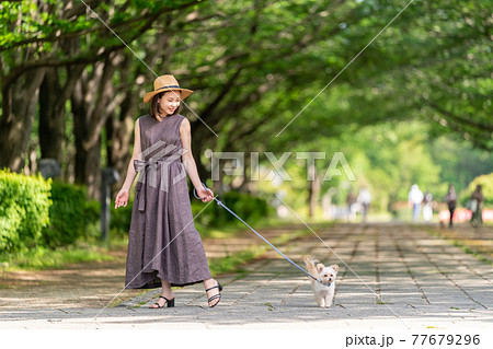 小型犬と一緒に散歩する若い女性　柏の葉公園 77679296