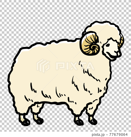 Realistic Sheep Illustration Stock Illustration