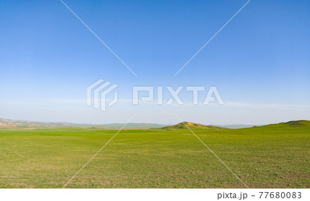 Pastoral landscape in green Kahetia fields 77680083
