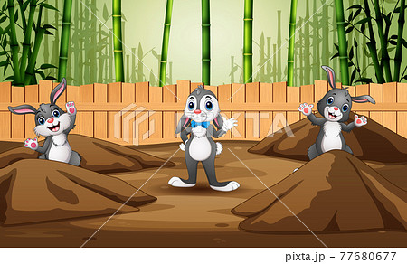 Funny three of bunnies in the farm 77680677