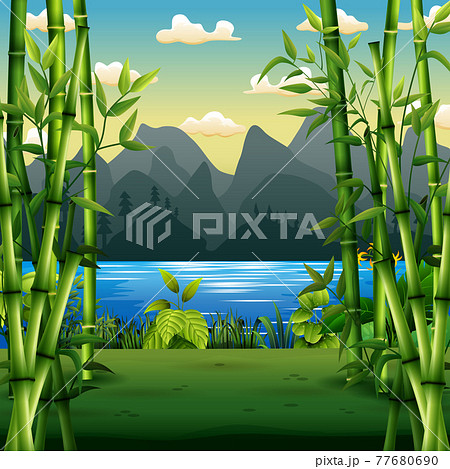 Nature scene with bamboo trees by the river 77680690