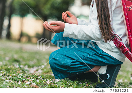 小学校新一年生 小学校新一年生 77681221