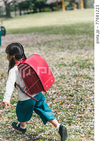 小学校新一年生 小学校新一年生 77681223