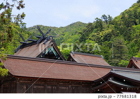 出雲大社 77681318