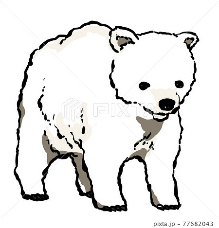 Realistic Polar Bear Illustration Stock Illustration