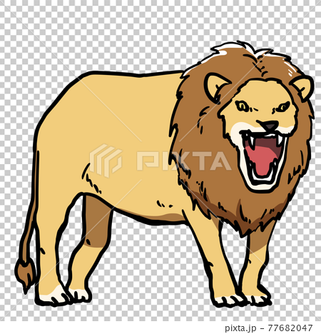 Realistic Lion Illustration Stock Illustration
