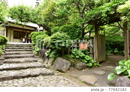 神奈川県立大磯城山公園　旧三井別邸地区の茶室「城山庵」 77682182