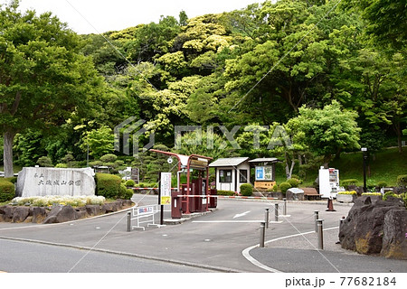 神奈川県立大磯城山公園 旧三井別邸地区入口(駐車場)と新緑 神奈川県立大磯城山公園 旧三井別邸地区入口(駐車場)と新緑 77682184