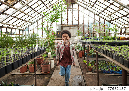 Little boy in greenhouse 77682187