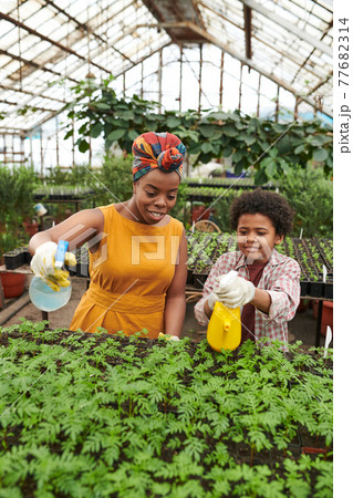 Woman with child working in a greenhouse 77682314