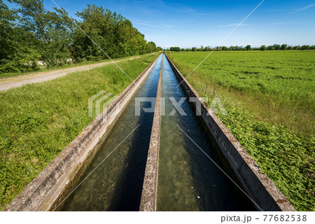 Two Small Concrete Irrigation Canals in the Countryside - Padan Plain Italy 77682538