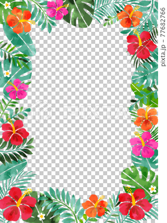 Watercolor hibiscus and tropical summer background frame Watercolor hibiscus and tropical summer background frame 77682766