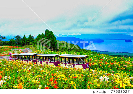 びわこ箱館山 77683027