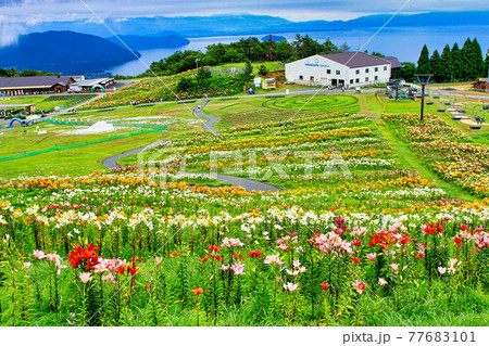 びわこ箱館山 77683101