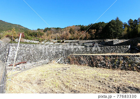 日本棚田百選 深野のだんだん田はすごかった 日本棚田百選 深野のだんだん田はすごかった 77683330