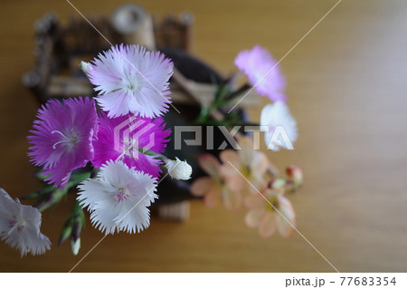 つくばいの形をした花器に生けられた撫子 つくばいの形をした花器に生けられた撫子 77683354