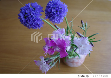 萩焼の花瓶に生けられた3種類のカラフルな春の花 萩焼の花瓶に生けられた3種類のカラフルな春の花 77683506