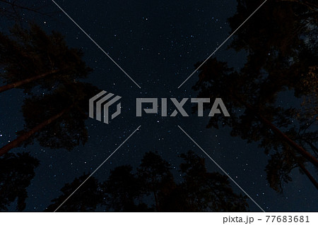 キャンプ場の星空 キャンプ場の星空 77683681